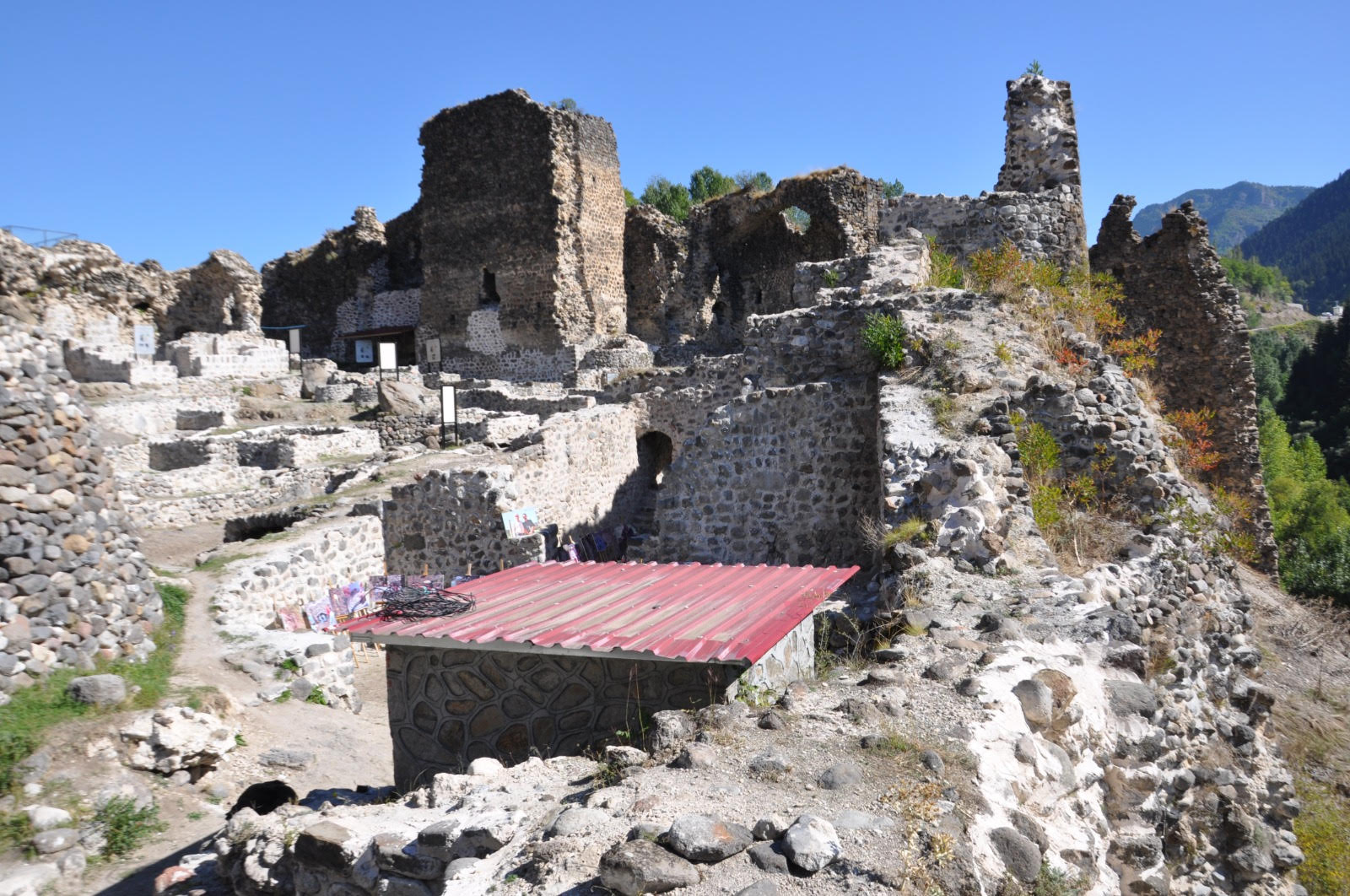 Şavşat (Satlel) Kalesi Arkeolojik Kazısı